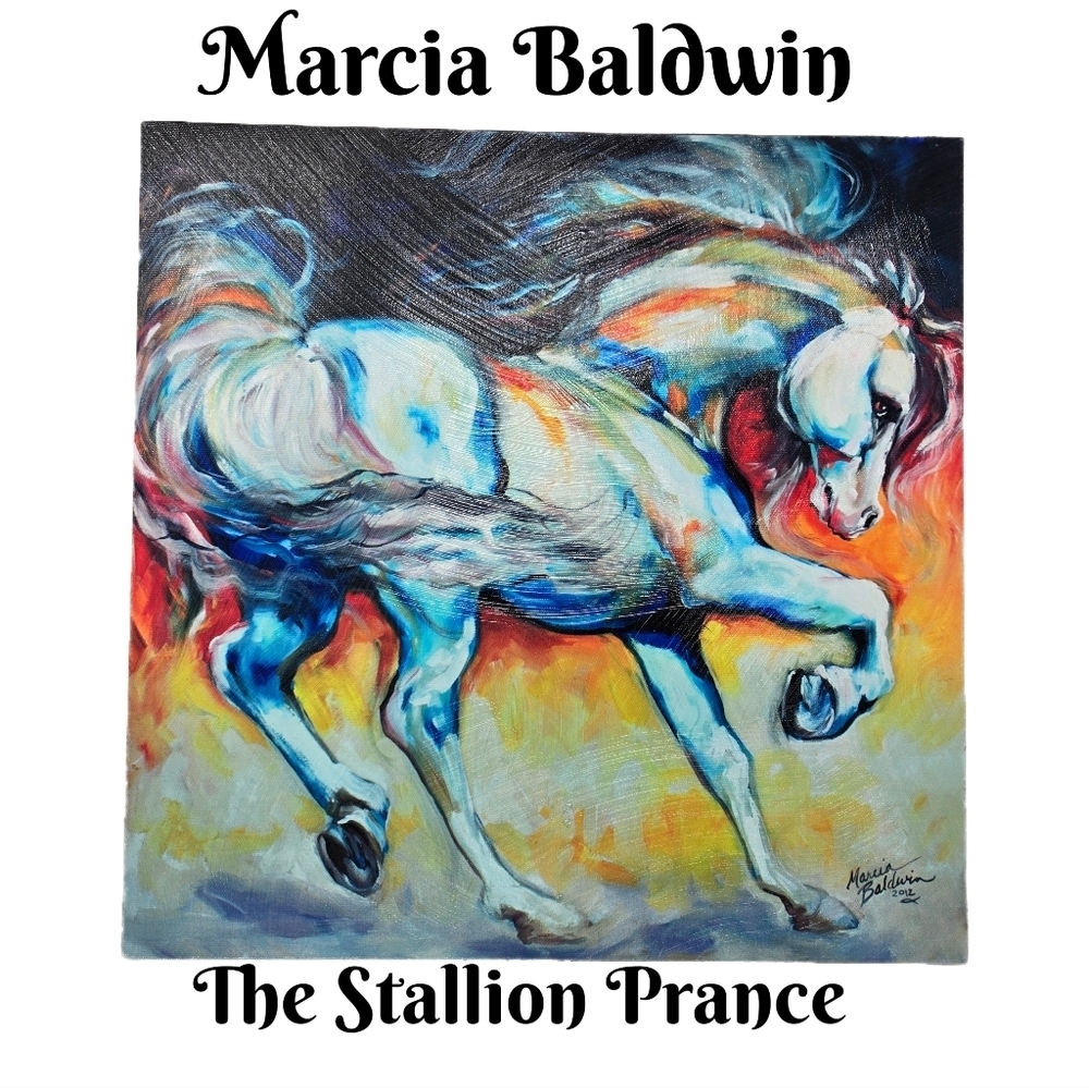 Marcia Baldwin The Stallion Prance Colorful Horse Art On Canvas 15x15 Equestrian